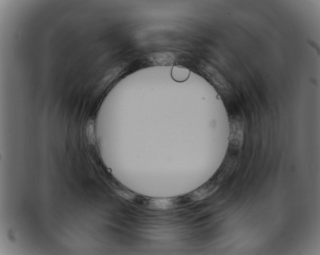 X0000097750717200803070842