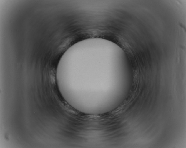 X0000097750719200803070842