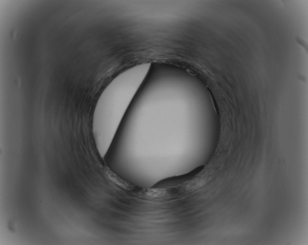 X0000097750720200803070842