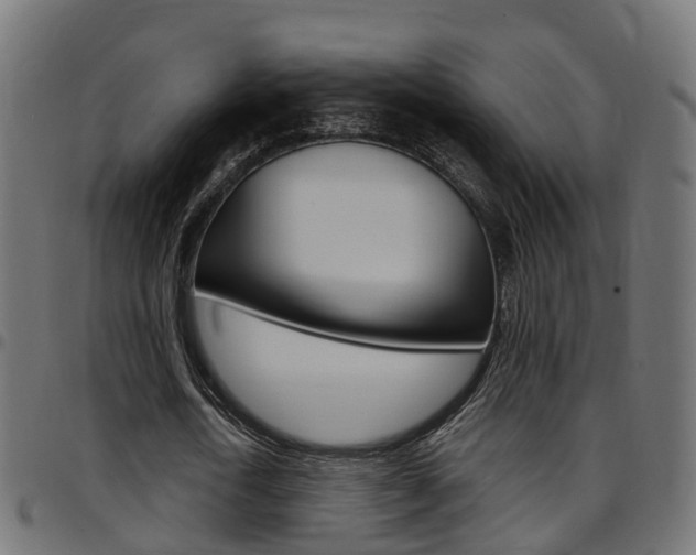 X0000097750722200803070841