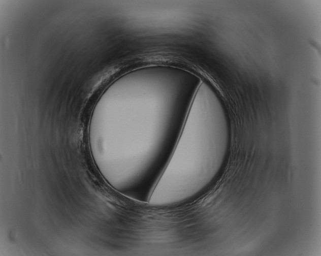 X0000097750723200803070841
