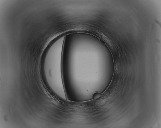 X0000097750724200803070841