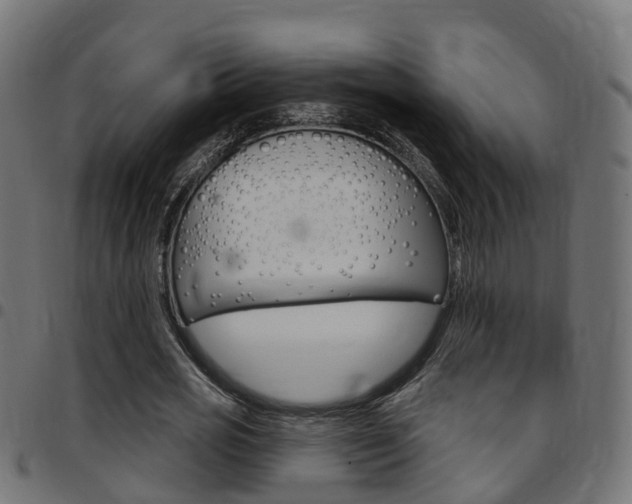 X0000097750725200803070841