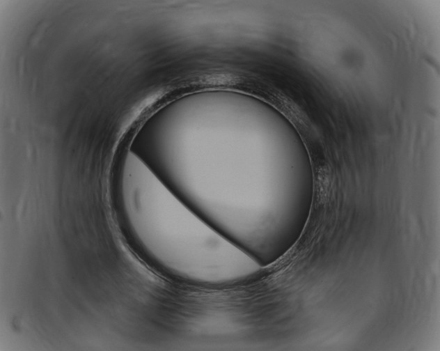 X0000097750726200803070841