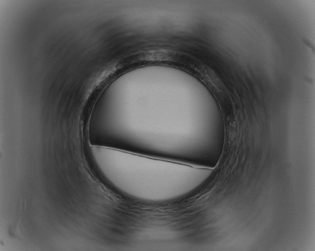 X0000097750727200803070841