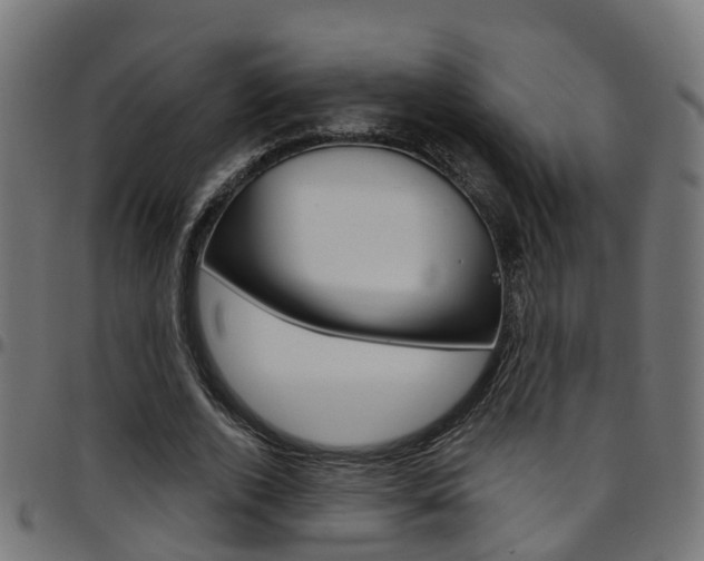 X0000097750728200803070841