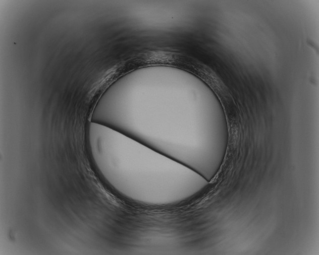 X0000097750729200803070841