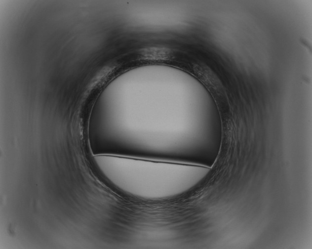 X0000097750731200803070841