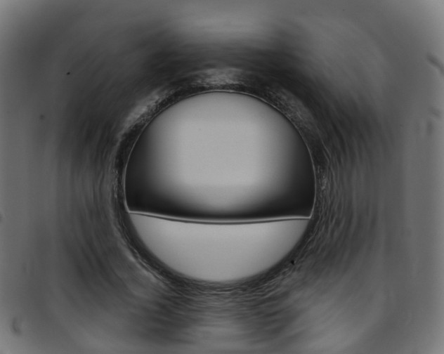 X0000097750732200803070841