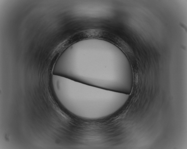 X0000097750733200803070841
