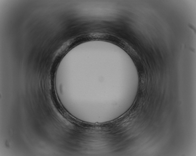 X0000097750734200803070841