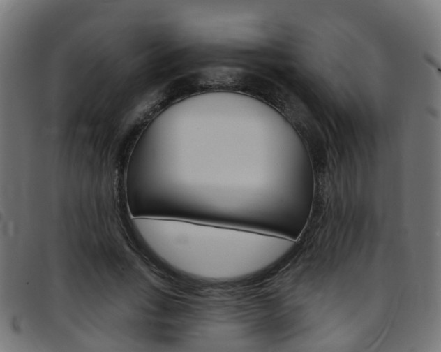 X0000097750735200803070841