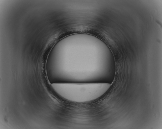 X0000097750736200803070841