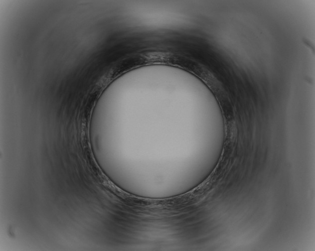 X0000097750737200803070841