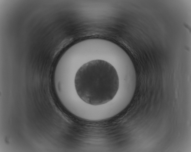 X0000097750738200803070841