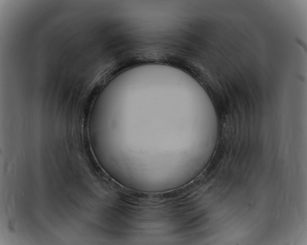 X0000097750739200803070842