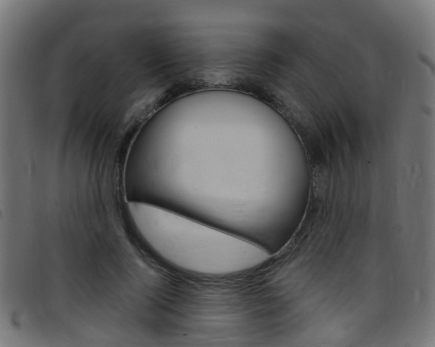 X0000097750740200803070842