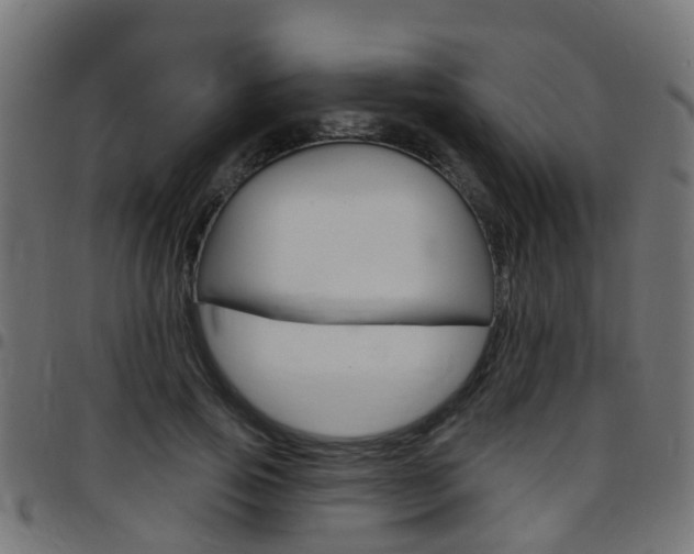 X0000097750741200803070842