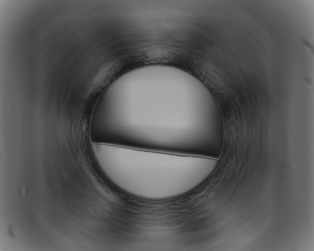 X0000097750742200803070842