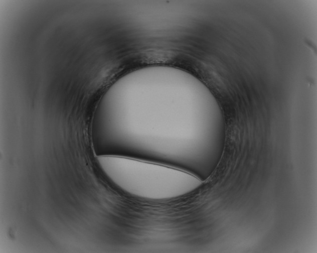 X0000097750743200803070842
