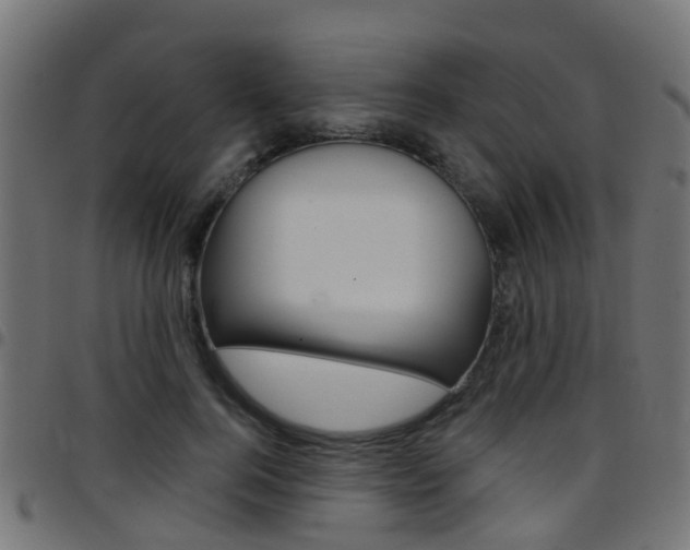 X0000097750744200803070842