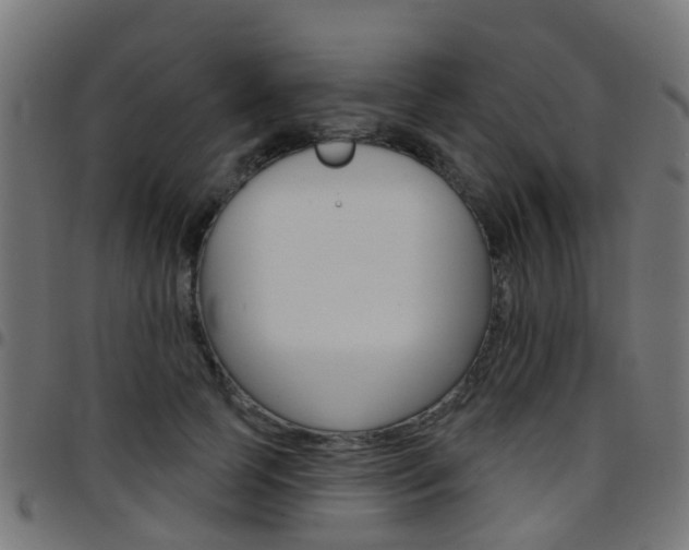 X0000097750745200803070842