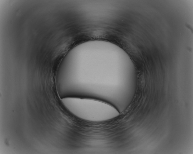 X0000097750746200803070842