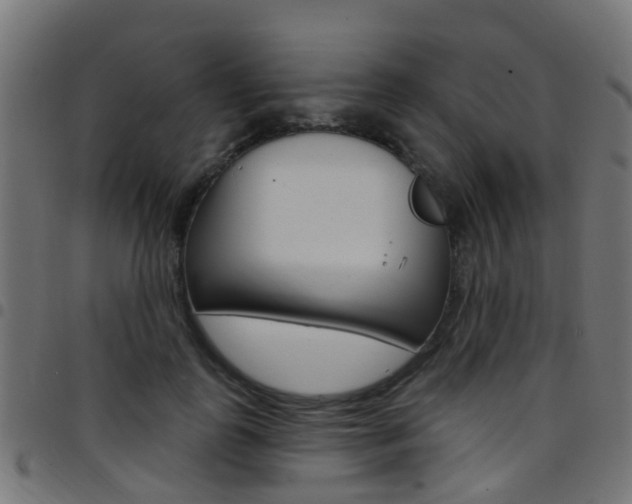 X0000097750747200803070842