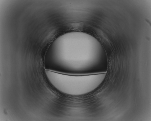 X0000097750748200803070842