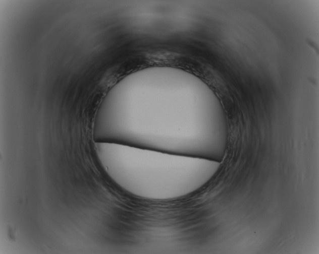 X0000097750749200803070842