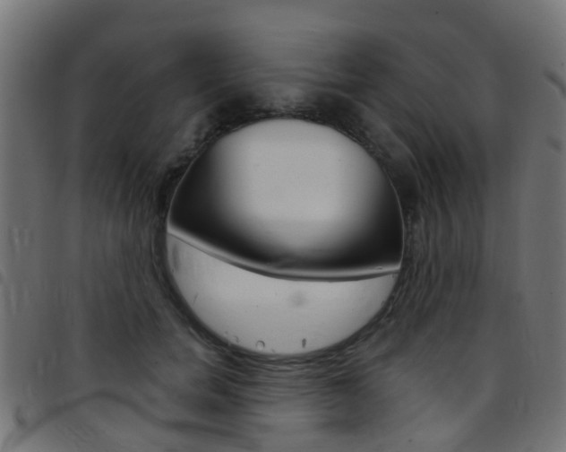 X0000097750750200803070842