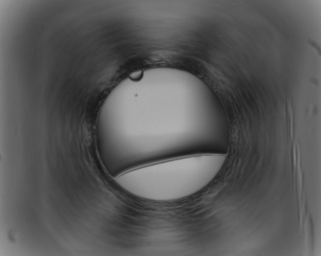 X0000097750751200803070842