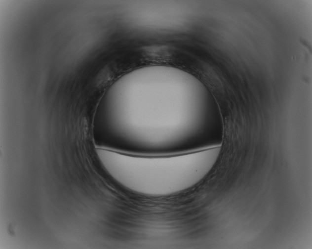 X0000097750752200803070842