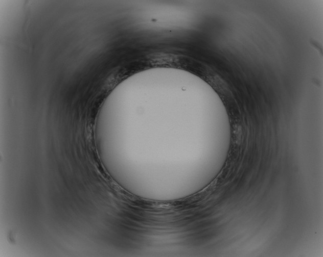 X0000097750753200803070842