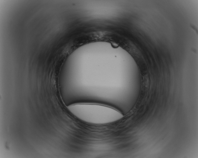 X0000097750754200803070842