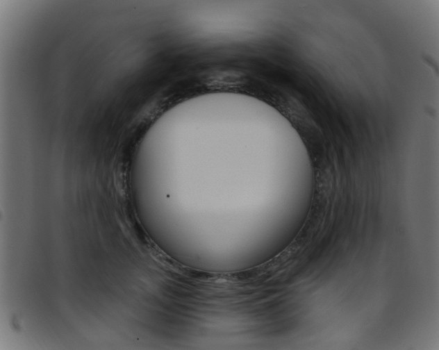 X0000097750755200803070842