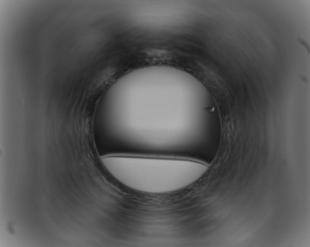 X0000097750756200803070842