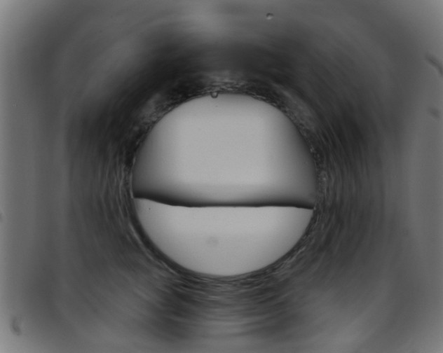 X0000097750757200803070842