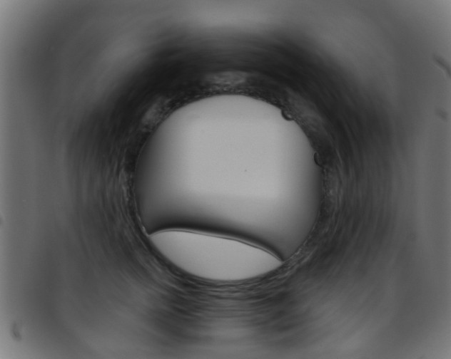 X0000097750758200803070842