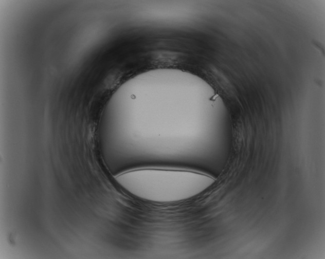 X0000097750759200803070842