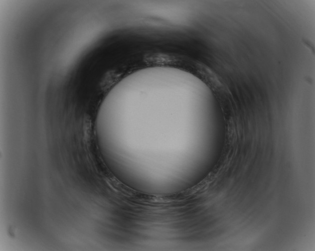X0000097750760200803070842