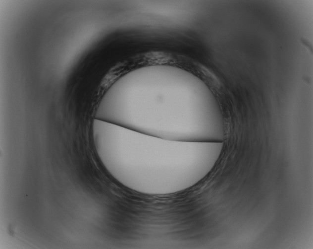 X0000097750761200803070842