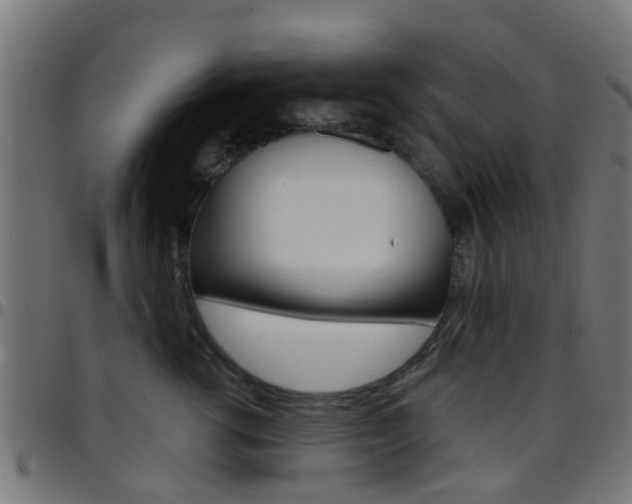 X0000097750762200803070842