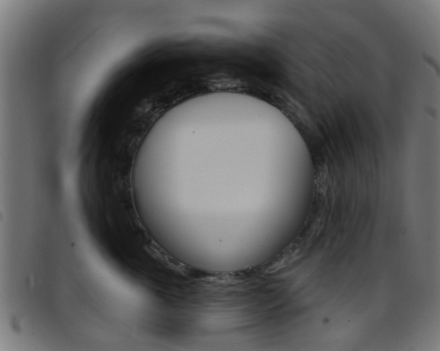 X0000097750763200803070842