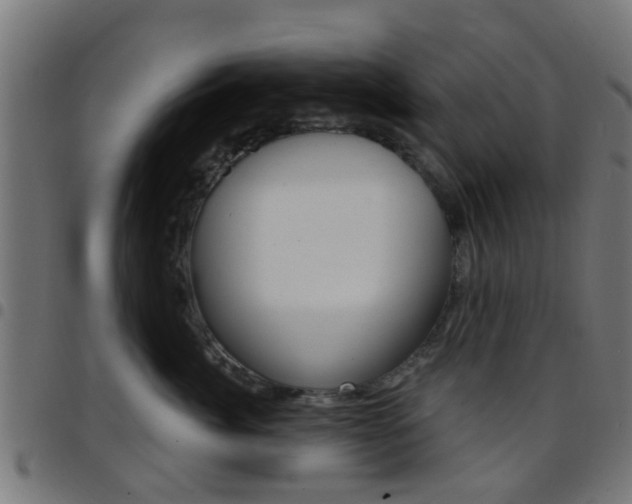 X0000097750764200803070842