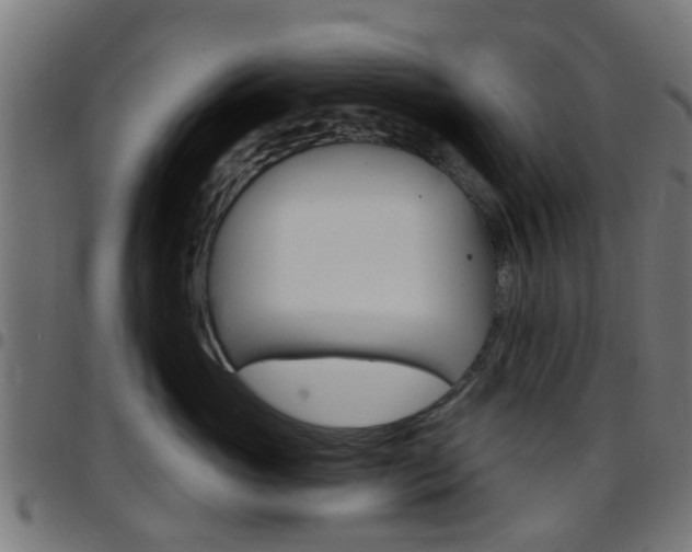 X0000097750765200803070842