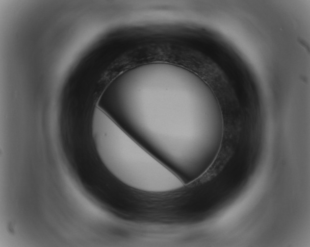 X0000097750766200803070842