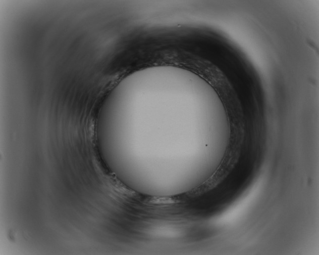 X0000097750767200803070842