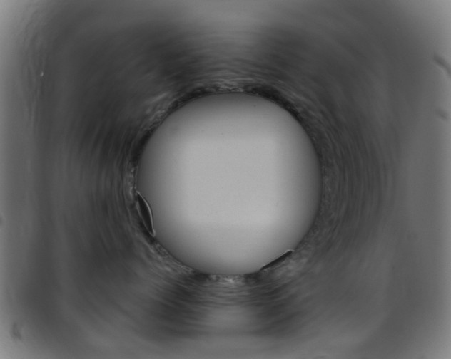 X0000097750768200803070842