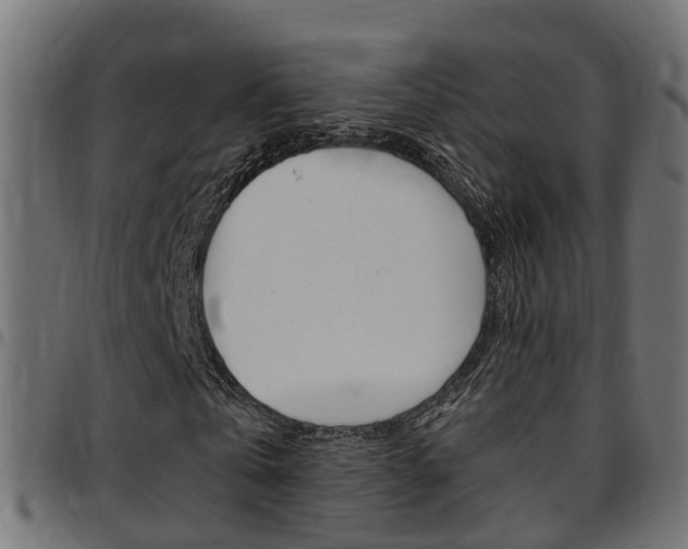 X0000097750769200803070841